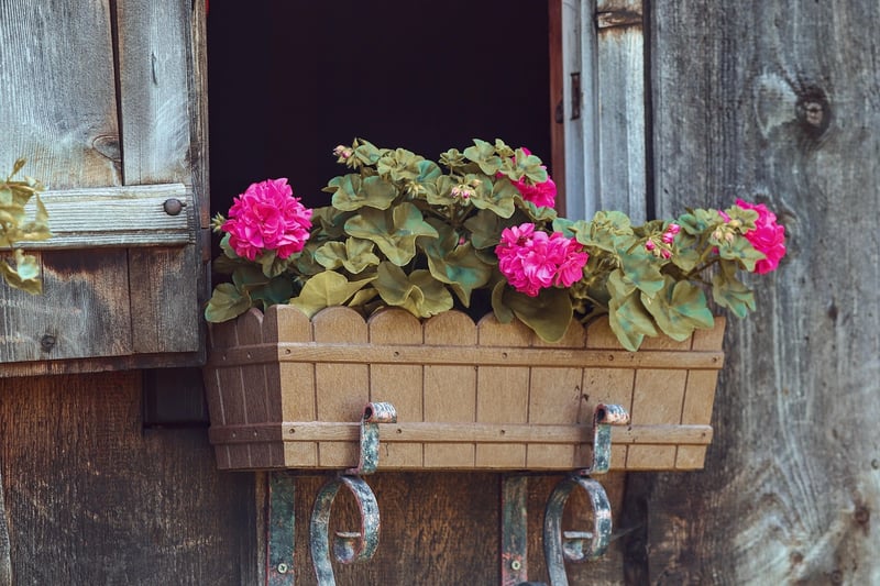 Vertical Garden
