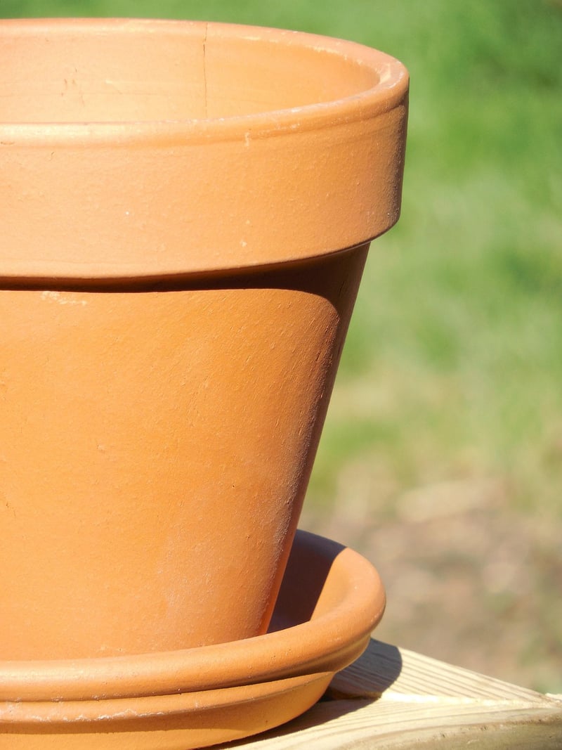 Painted Terra Cotta Pots